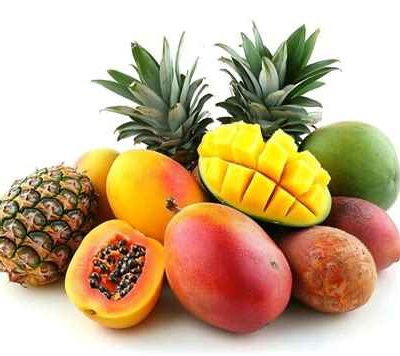 تروپیکال پارادایز